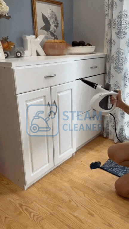 PureSteam Pro – Multi-Function Steam Cleaner